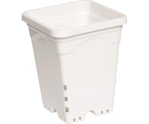 Active Aqua 6"x6" Square White Pot, 8" Tall, 50 per case
