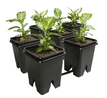 Load image into Gallery viewer, Active Aqua Hydroponics Active Aqua Grow Flow 2.0 Expansion Kit w/six 5 gal Square Pots