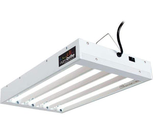 AgroBrite Grow Lights 2' 4-Tube Fixture with Lamps AgroBrite Fluorescent T5 Grow Light with 6400K Bulbs