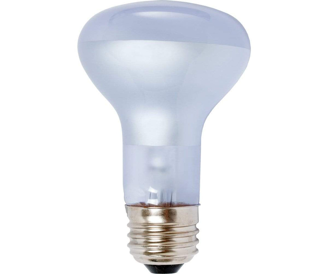 Agrosun Agrosun Dayspot Incandescent Bulb, 60W