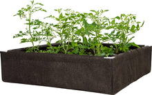 Load image into Gallery viewer, Dirt Pot Soils &amp; Containers Dirt Pot Box Raised Bed
