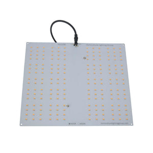 Horticulture Lighting Group Grow Lights Horticulture Lighting Group HLG 100 V2 Quantum Board