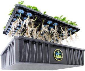 oxyCLONE Germination oxyCLONE Cloning System