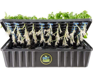 oxyCLONE Germination oxyCLONE Cloning System